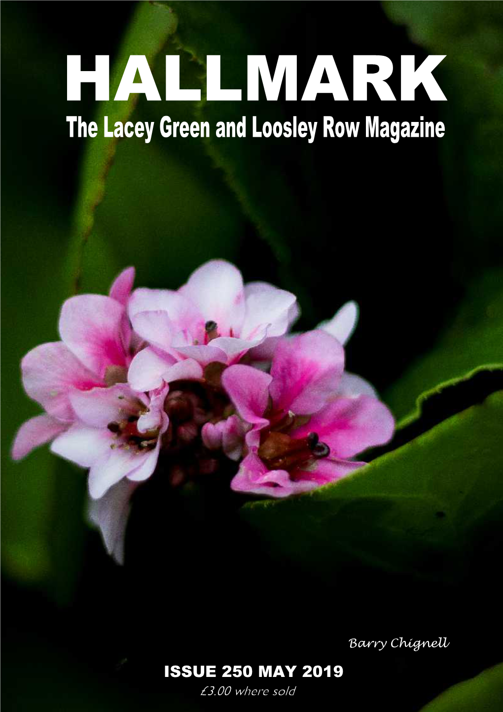 The Lacey Green and Loosley Row Magazine