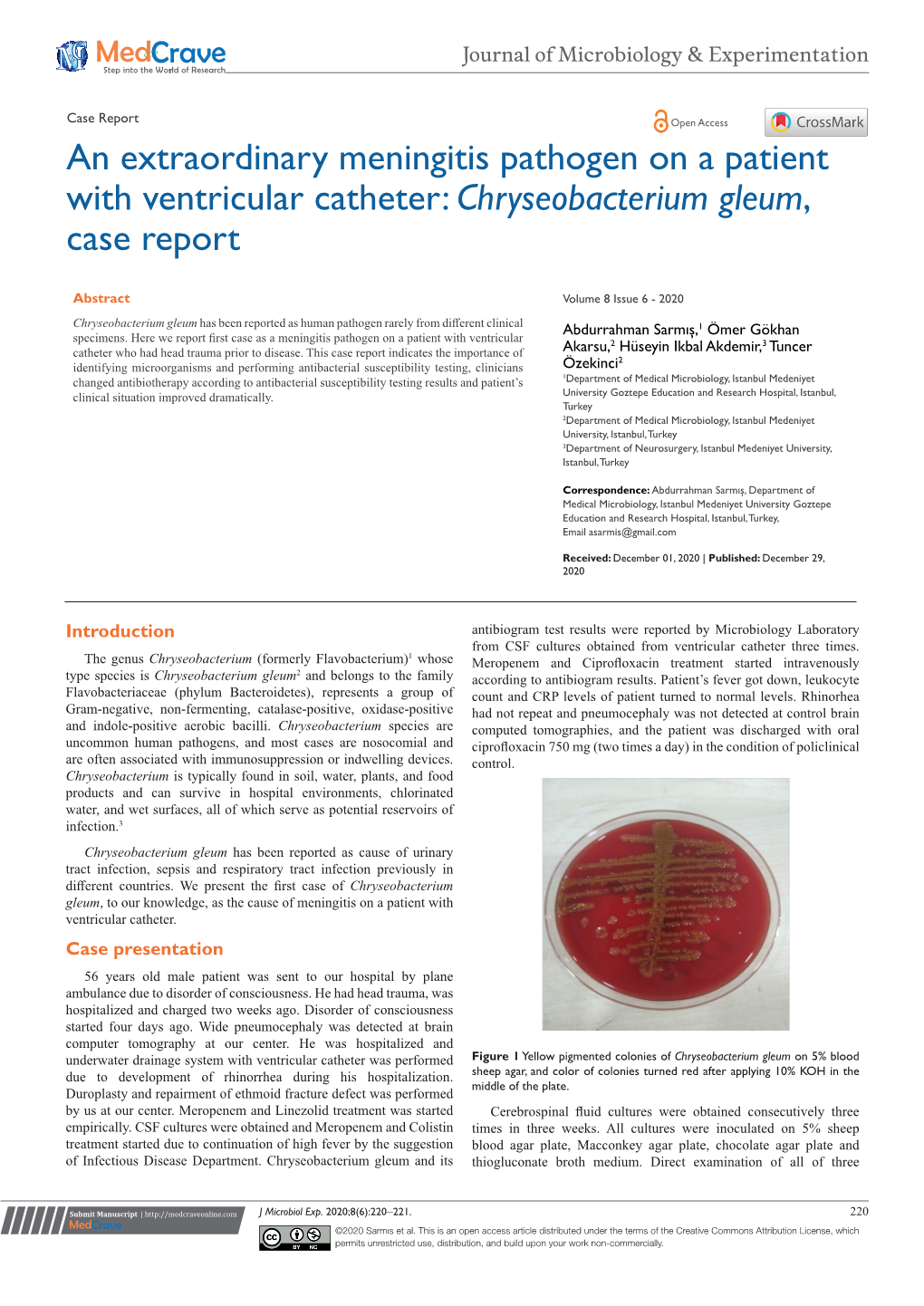 Chryseobacterium Gleum, Case Report