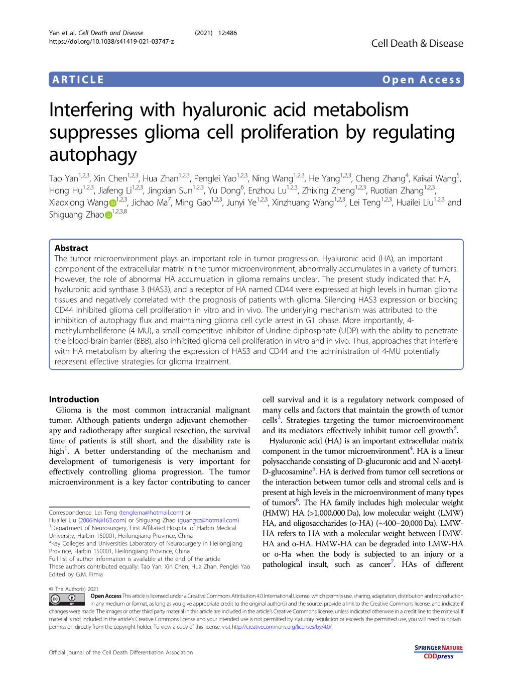 Interfering with Hyaluronic Acid Metabolism Suppresses Glioma Cell