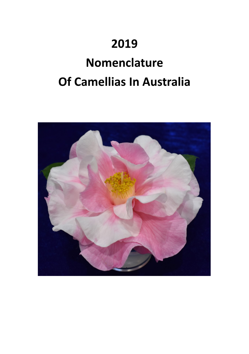 Australian-Camellia-Nomemclature-29-10-2019