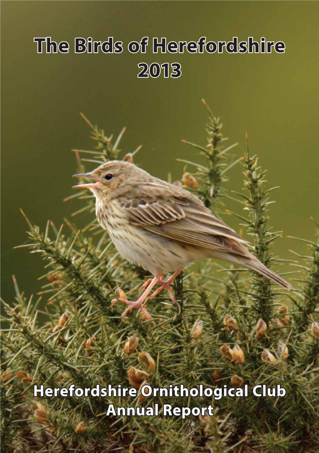 The Birds of Herefordshire 2013