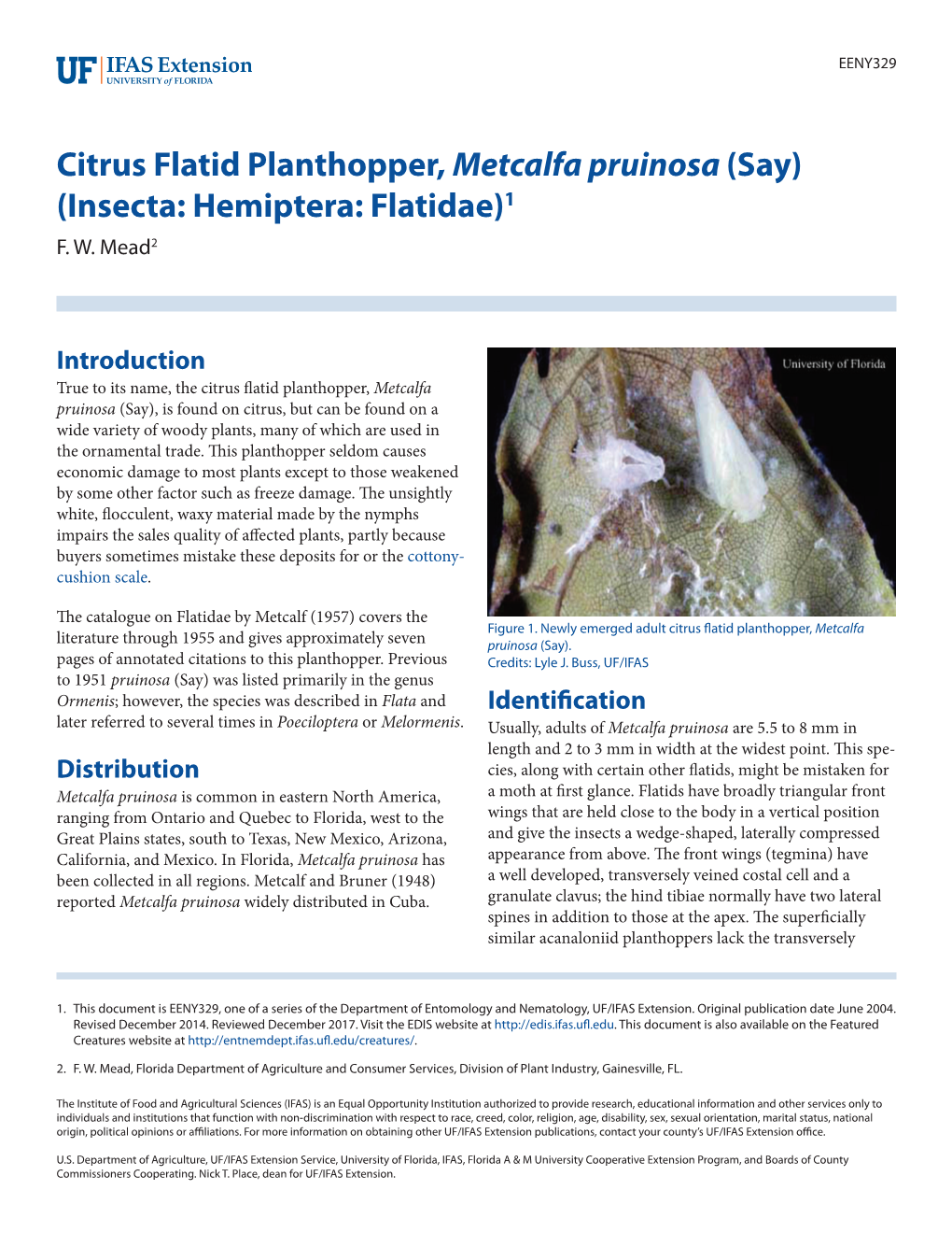 Citrus Flatid Planthopper, Metcalfa Pruinosa (Say) (Insecta: Hemiptera: Flatidae)1 F