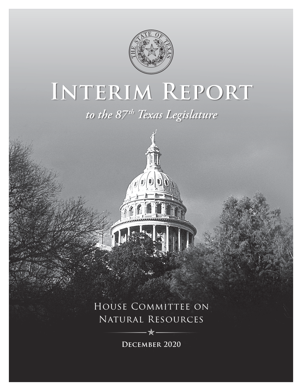 Texas House Natural Resources Committee Interim Report 2020