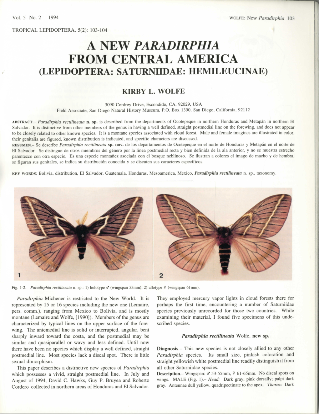 A New Paradirphia from Central America (Lepidoptera: Saturniidae: Hemileucinae)