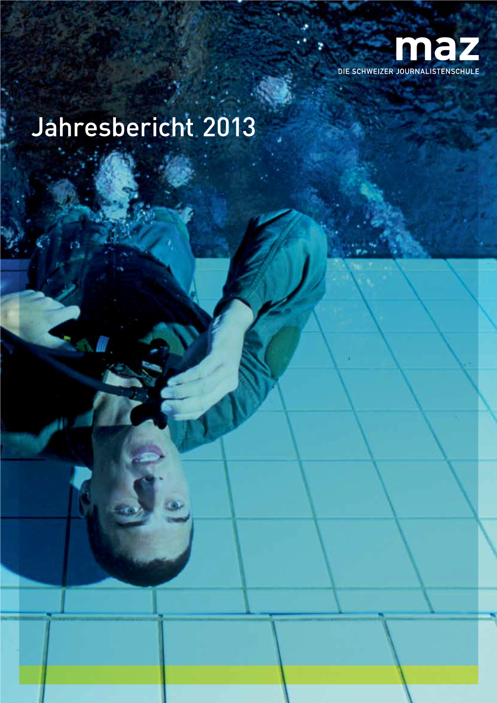 Jahresbericht 2013