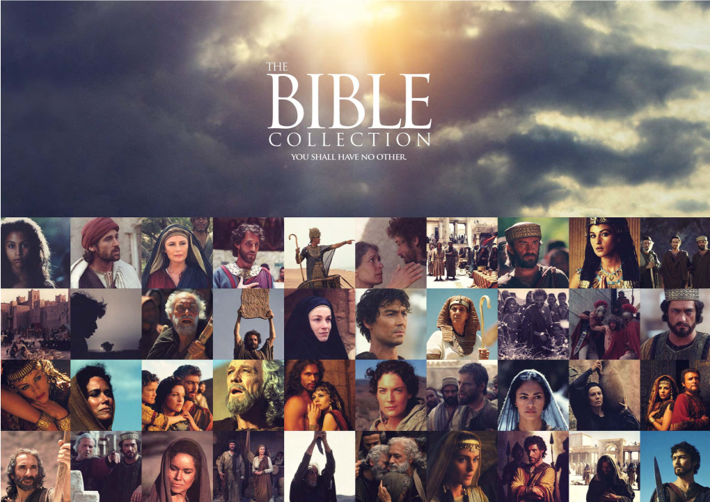 Sales Flyer the Bible Collecti