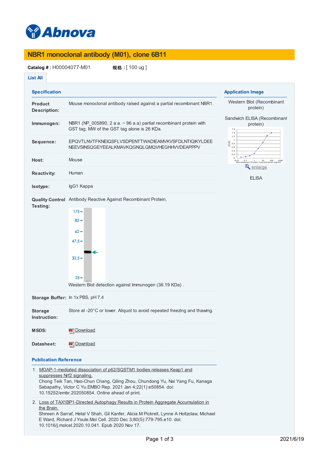 NBR1 Monoclonal Antibody (M01), Clone 6B11