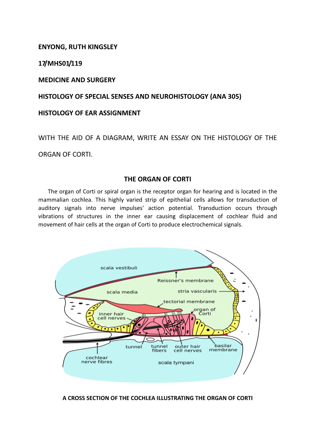 Histology of Special Senses and Neurohistology (Ana 305)