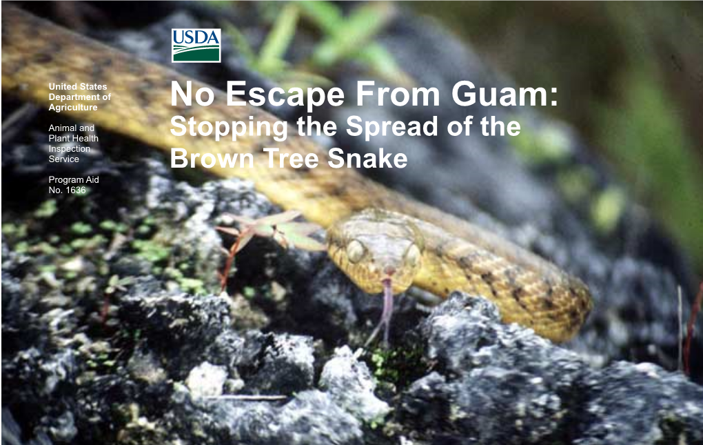 Brown Tree Snake Program Aid No