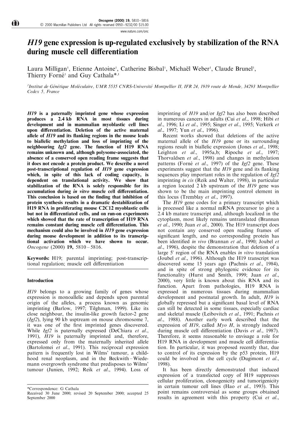 H19 Gene Expression Is Up-Regulated Exclusively by Stabilization of the RNA During Muscle Cell Di€Erentiation