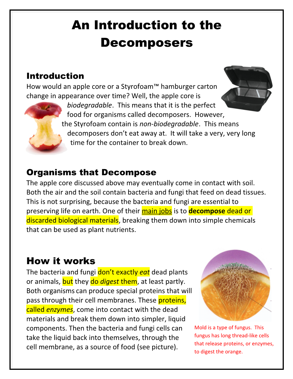 An Introduction to the Decomposers