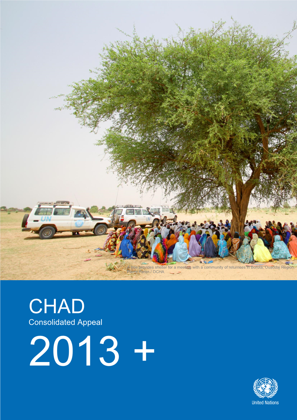 CHAD Consolidated Appeal 2013 +