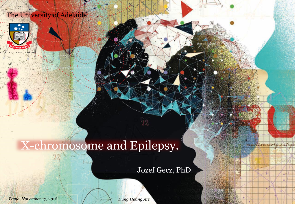 X-Chromosome and Epilepsy