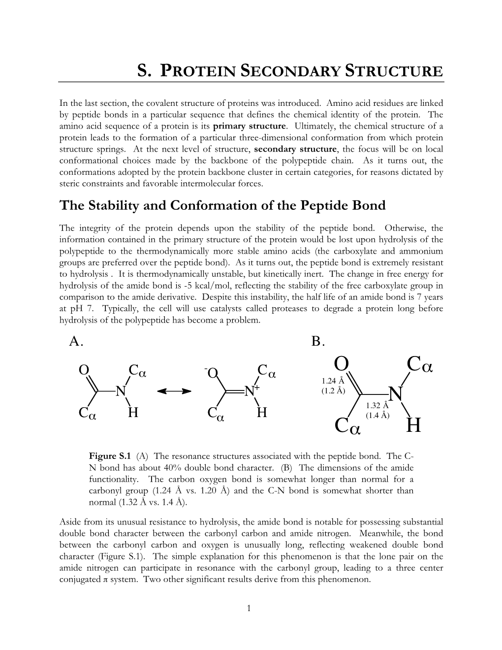 Protein Secondary Structure