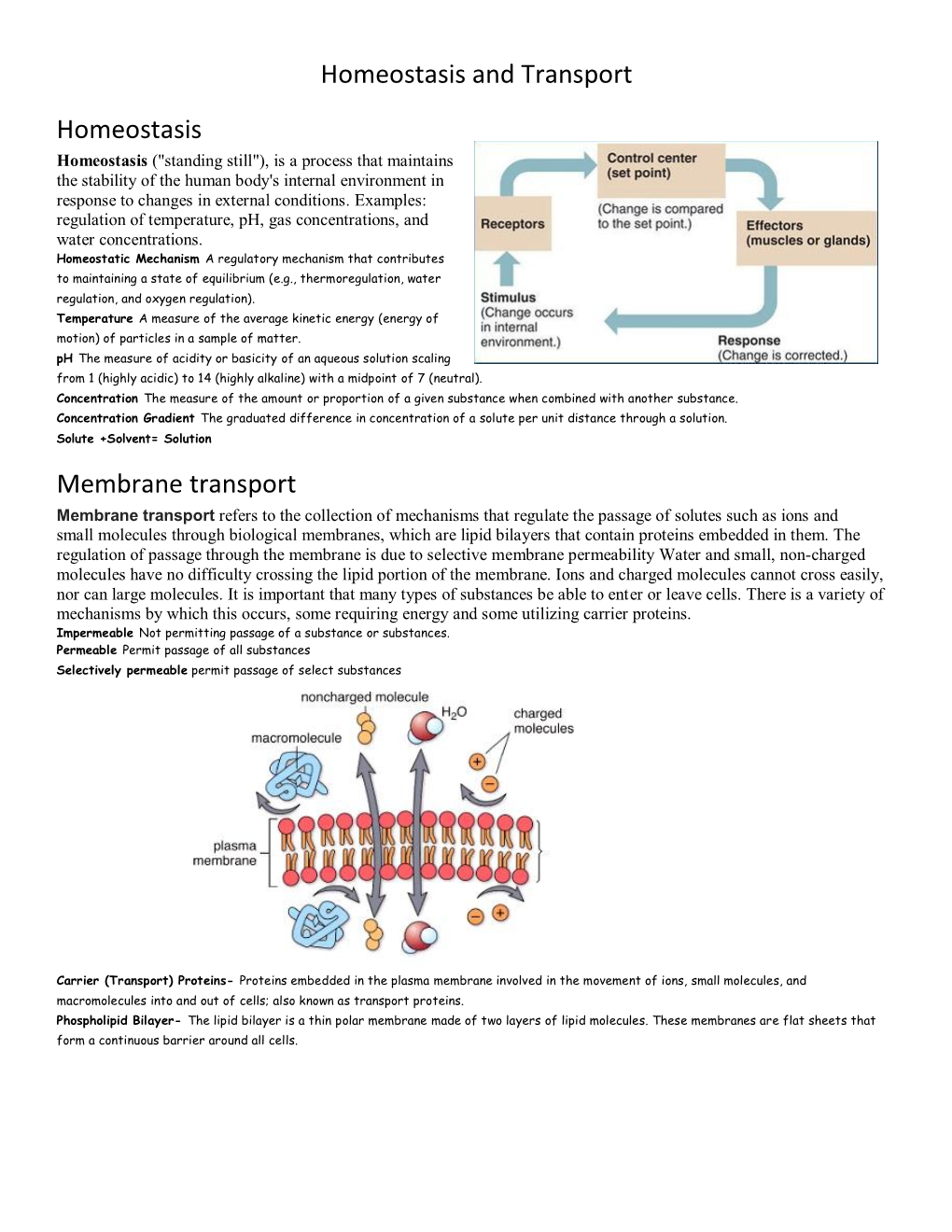 Transport and Homeostasis Summary.Pdf