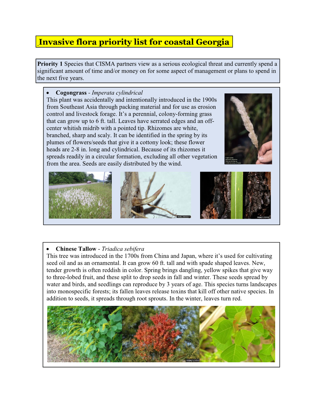 Invasive Flora Priority List for Coastal Georgia