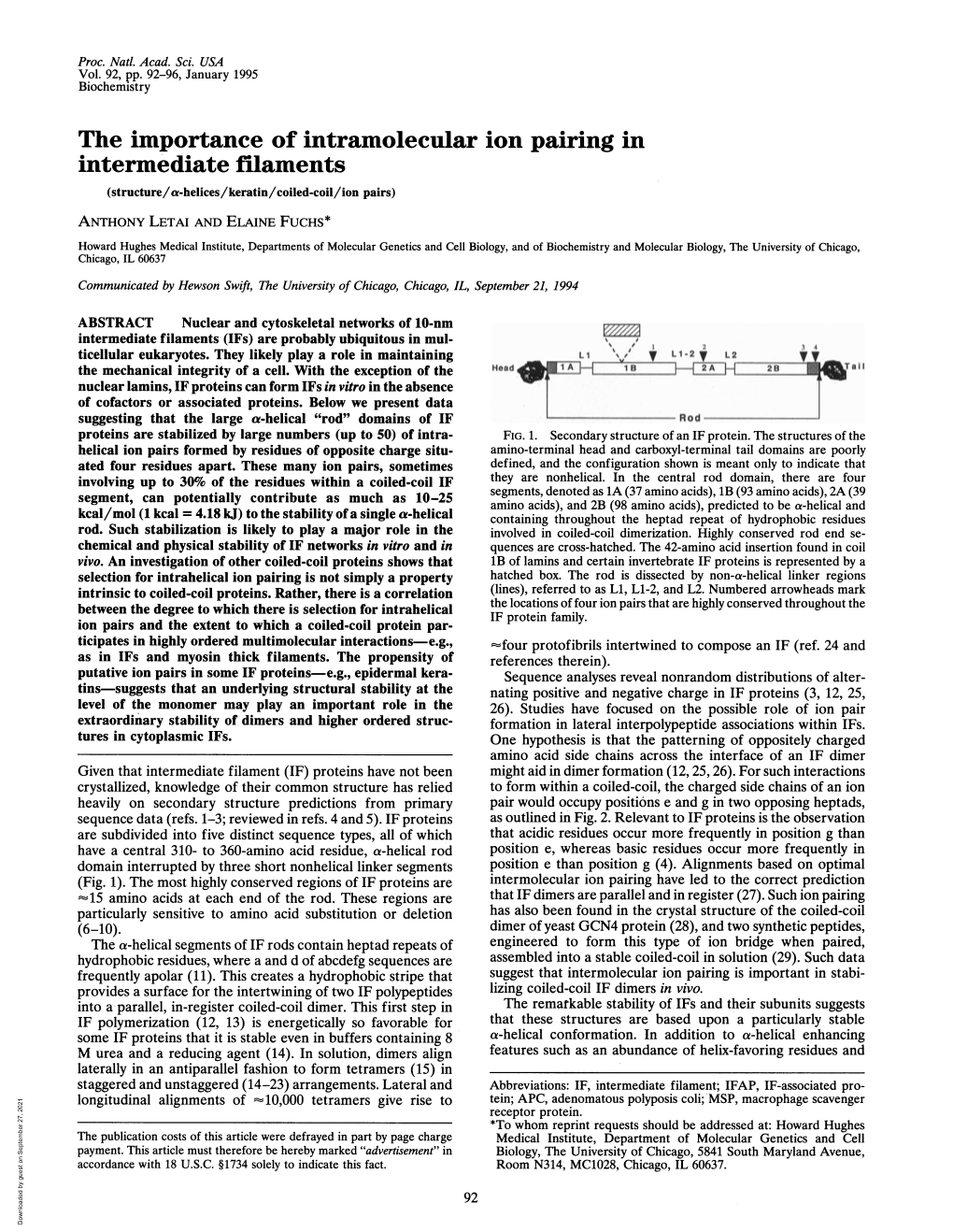 The Importance of Intramolecular Ion Pairing in Intermediate Filaments