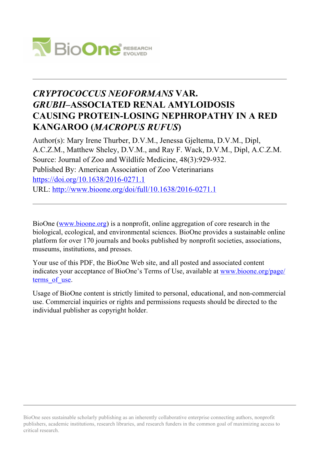 Kangaroo Renal Cryptococcus