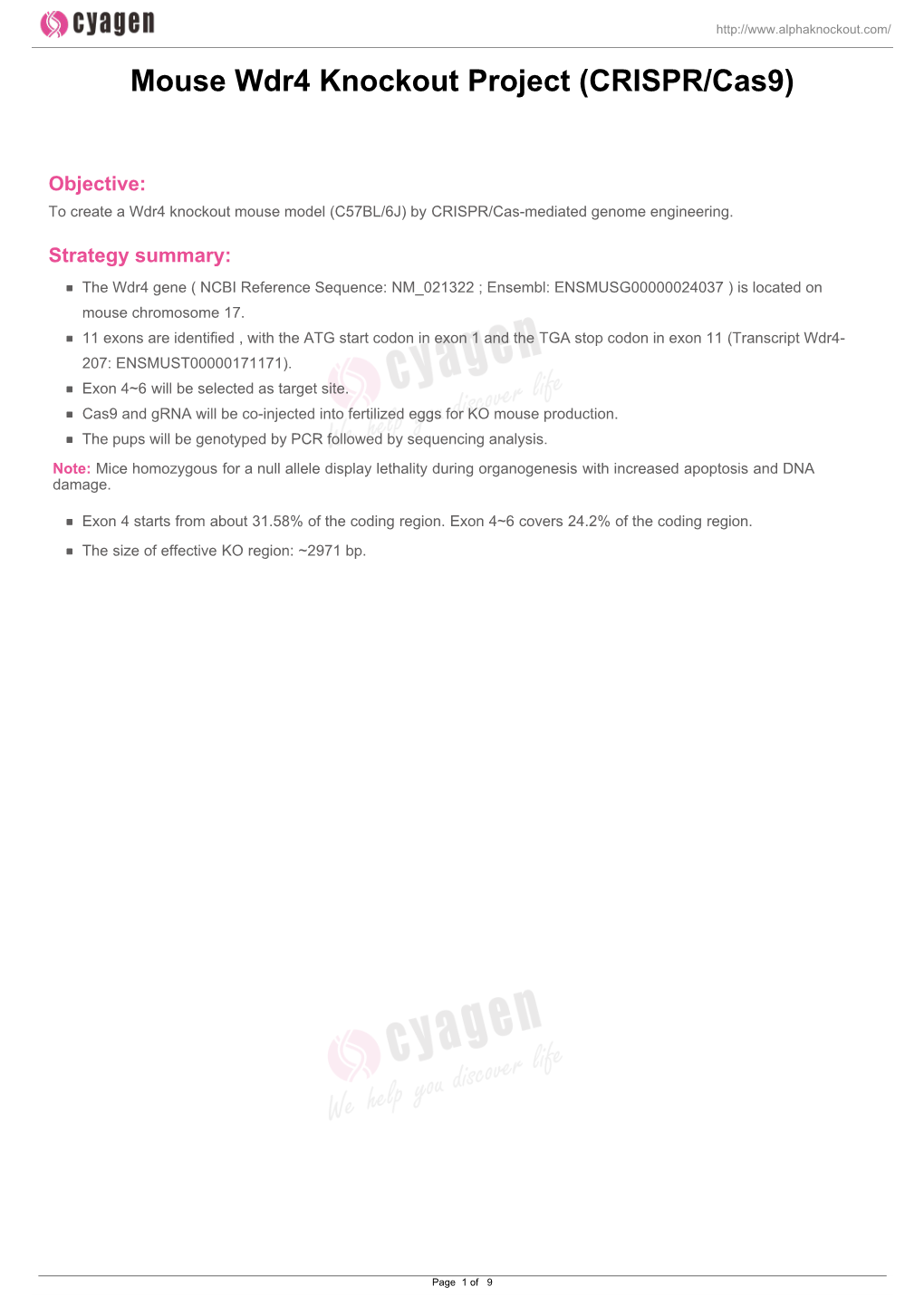 Mouse Wdr4 Knockout Project (CRISPR/Cas9)