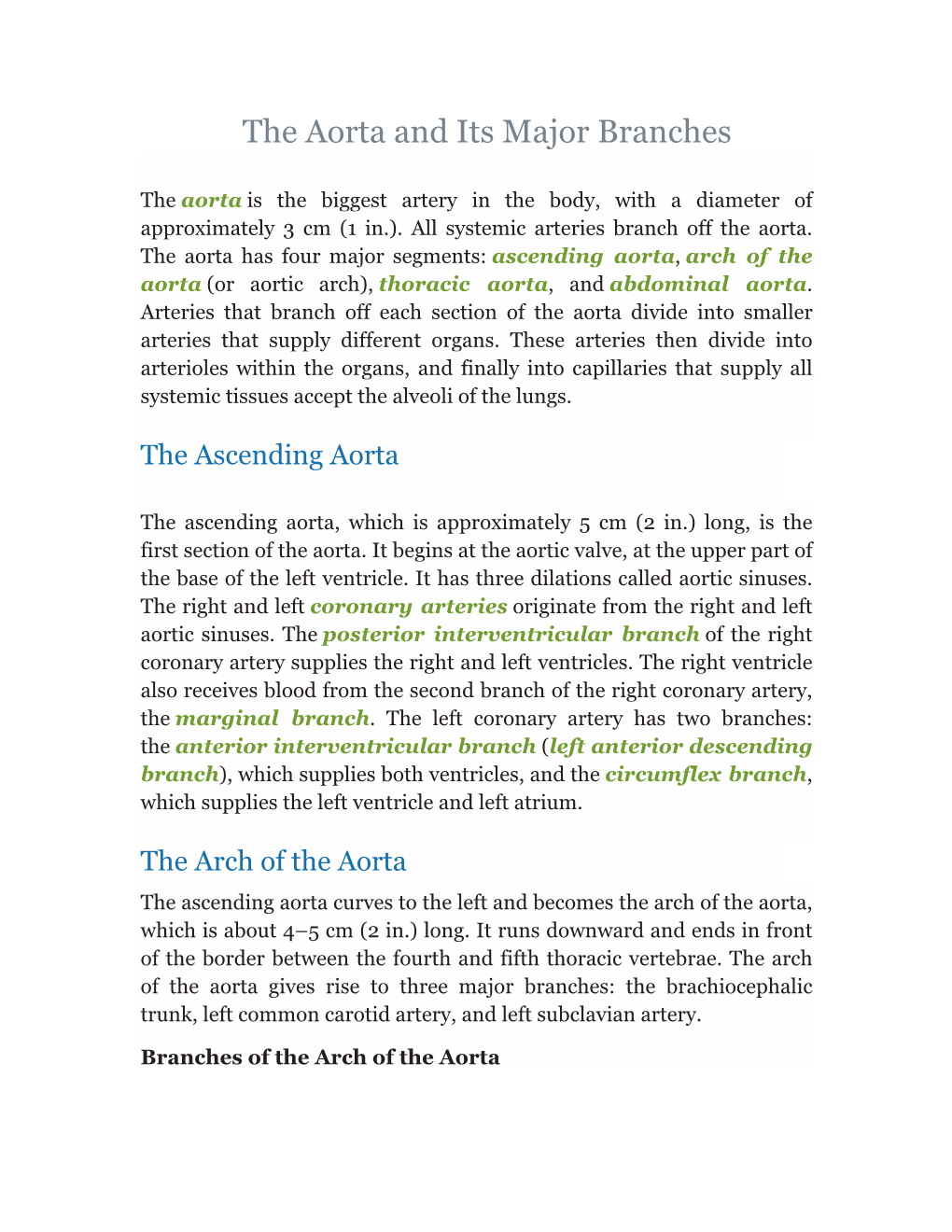 The Aorta and Its Major Branches