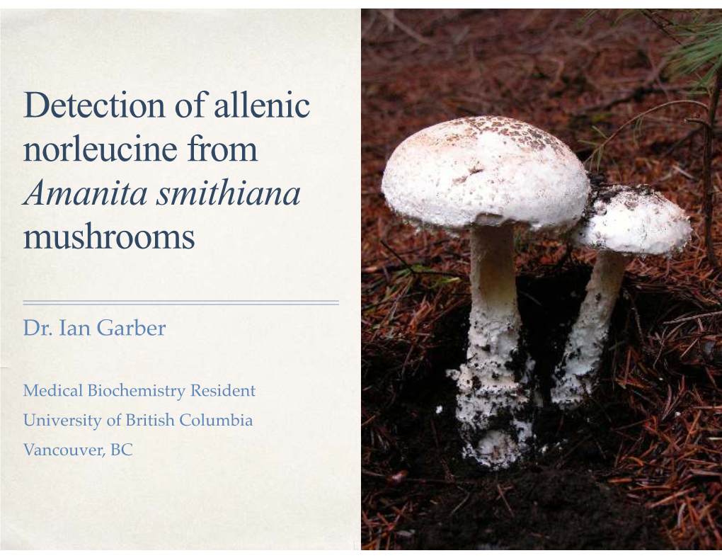Allenic Norleucine from Amanita Smithiana Mushrooms