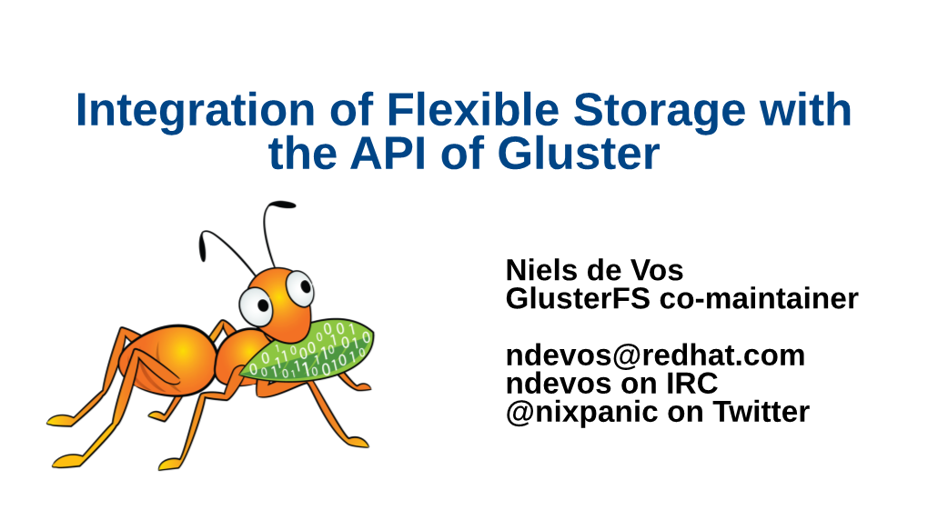 Integration of Flexible Storage with the API of Gluster