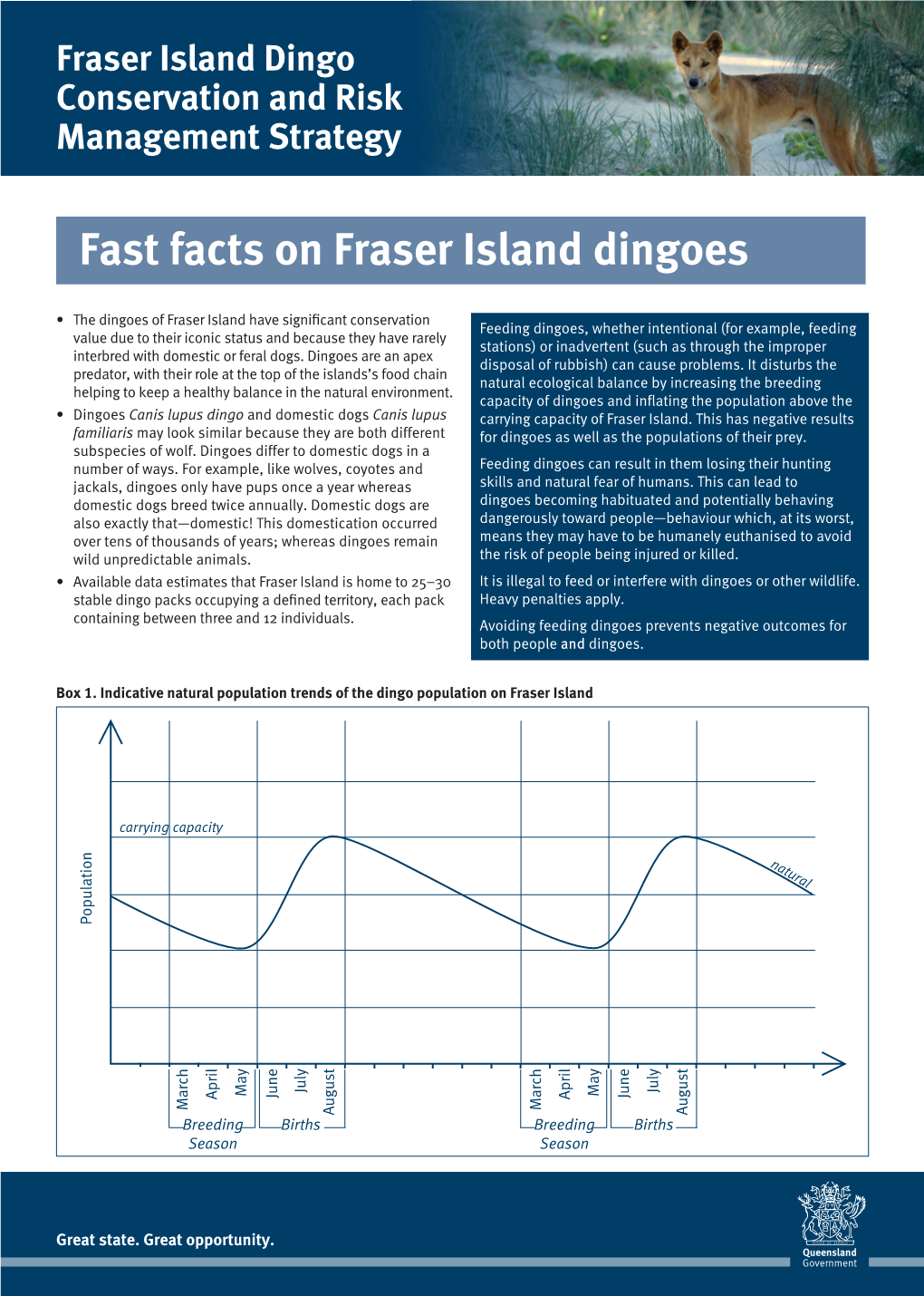 Fast Facts on Fraser Island Dingoes