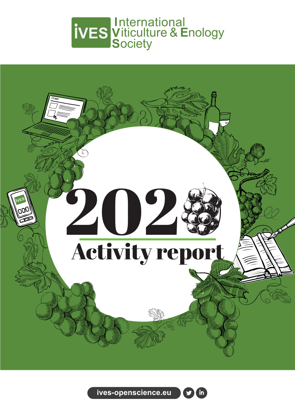 IVES 2020 Activity Report