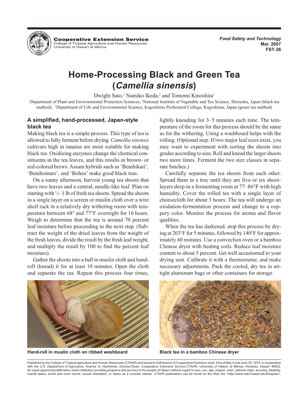 Home-Processing Black and Green Tea (Camellia Sinensis)