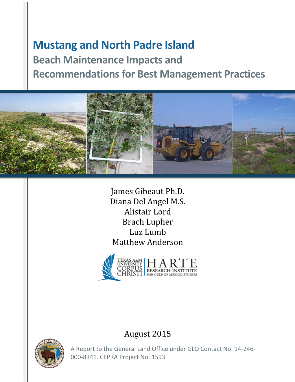 Mustang and North Padre Island Beach Maintenance Impacts and Recommendations for Best Management Practices