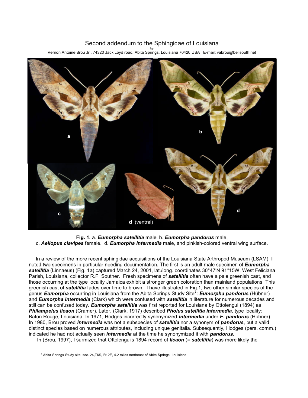 Second Addendum to the Sphingidae of Louisiana by Vernon Antoine Brou Jr., 74320 Jack Loyd Road, Abita Springs, Louisiana 70420 USA E-Mail: Vabrou@Bellsouth.Net