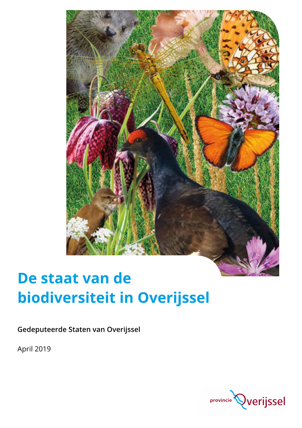 De Staat Van De Biodiversiteit in Overijssel