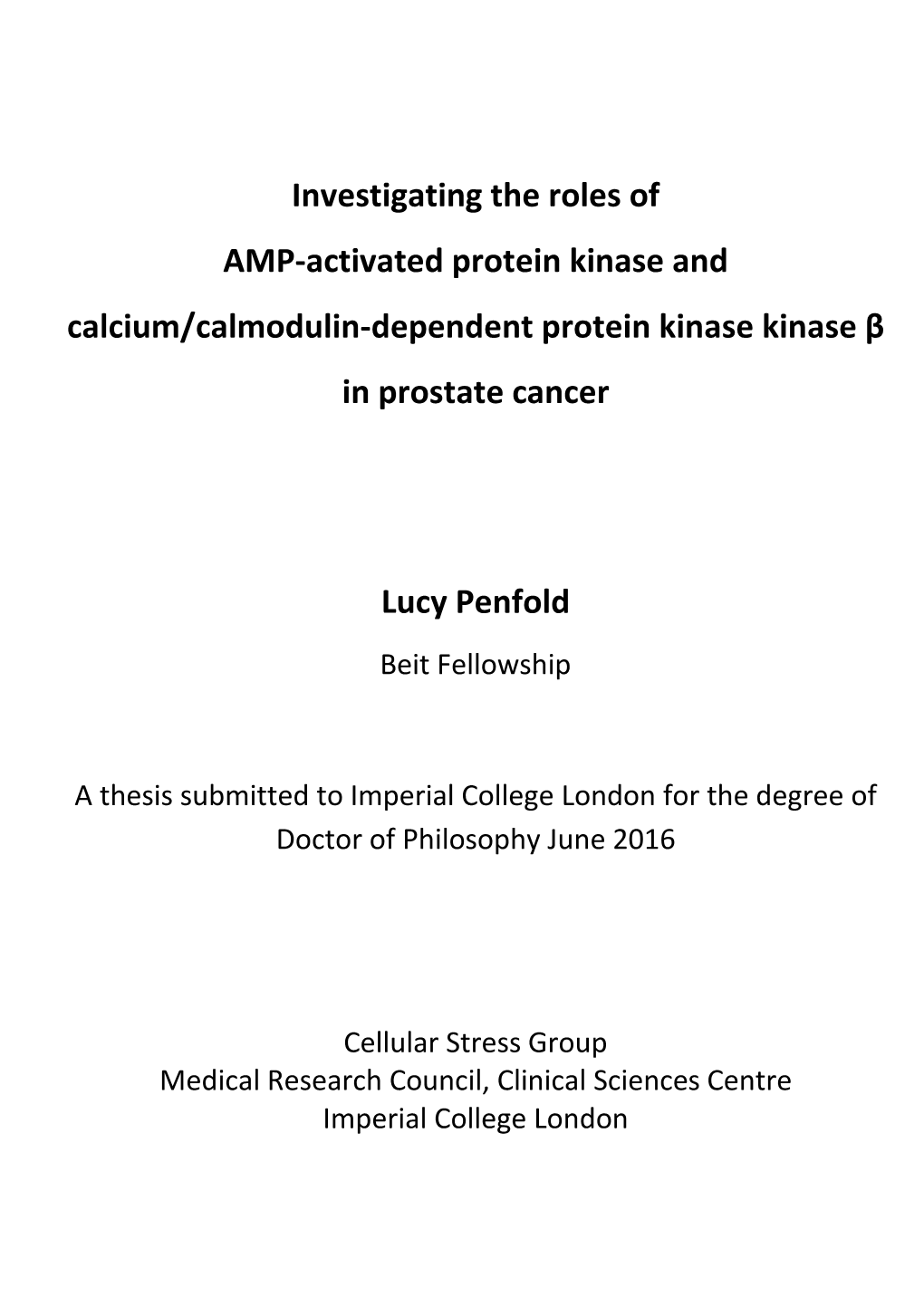 Investigating the Roles of AMP-Activated Protein Kinase and Calcium/Calmodulin-Dependent Protein Kinase Kinase Β in Prostate Cancer