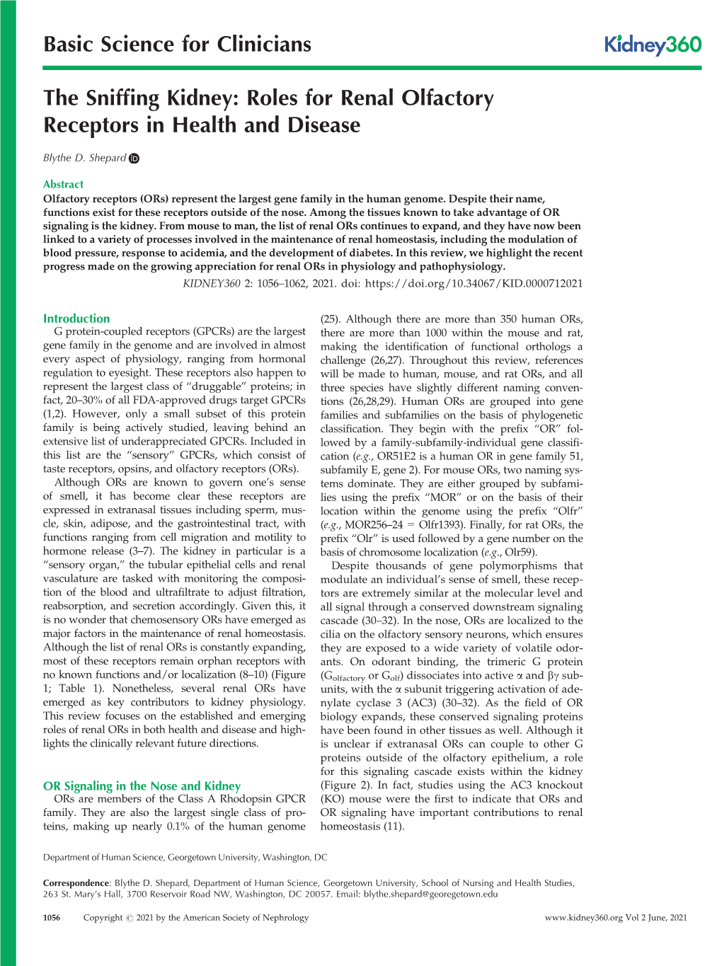 Roles for Renal Olfactory Receptors in Health and Disease