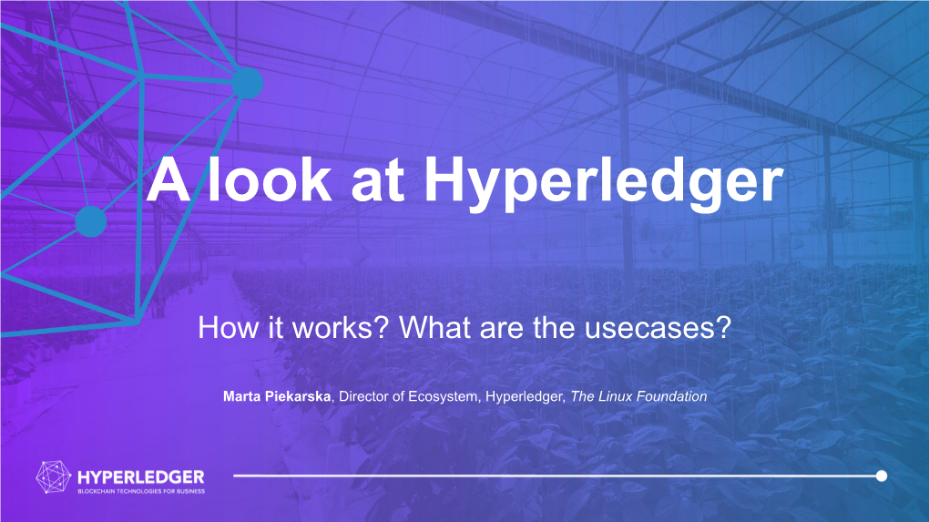 A Look at Hyperledger