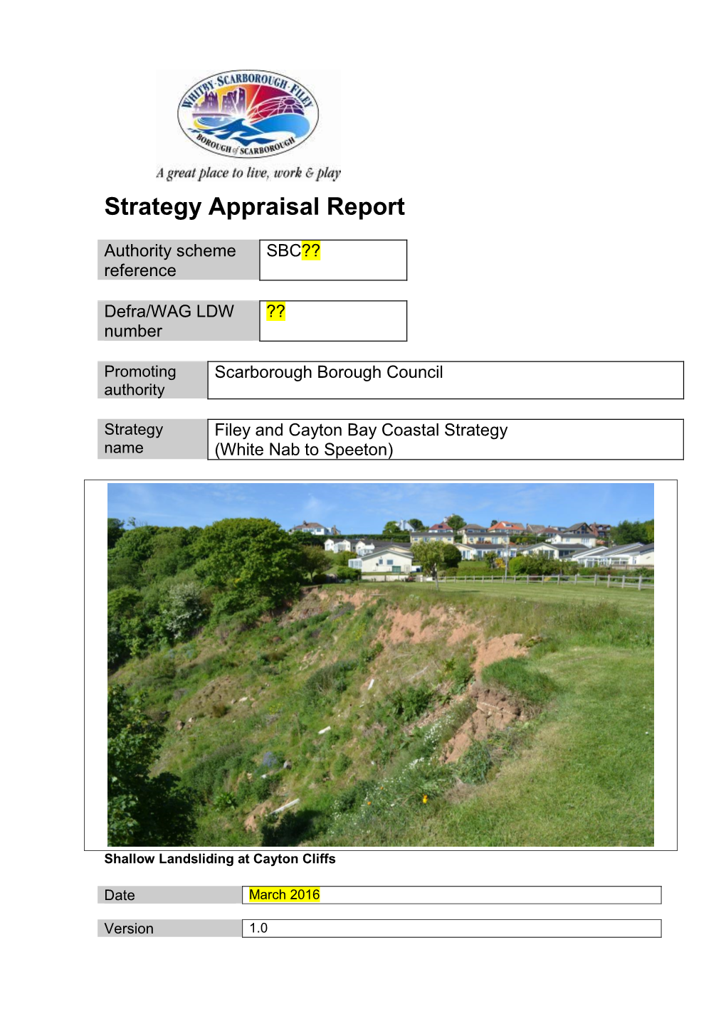 407 09 Strategy Appraisal Report (Star)