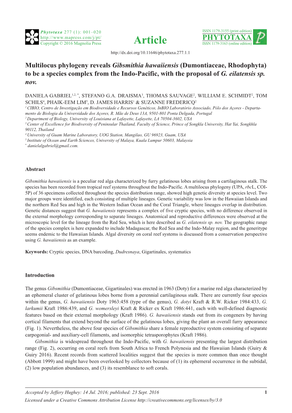 Multilocus Phylogeny Reveals Gibsmithia Hawaiiensis (Dumontiaceae, Rhodophyta) to Be a Species Complex from the Indo-Pacific, with the Proposal of G