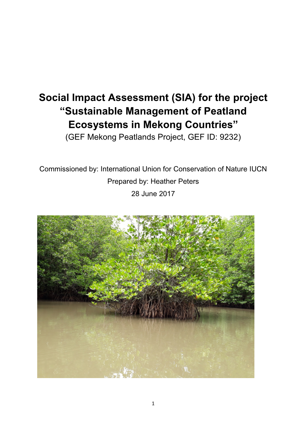 Social Impact Assessment (SIA) for the Project “Sustainable Management of Peatland Ecosystems in Mekong Countries” (GEF Mekong Peatlands Project, GEF ID: 9232)