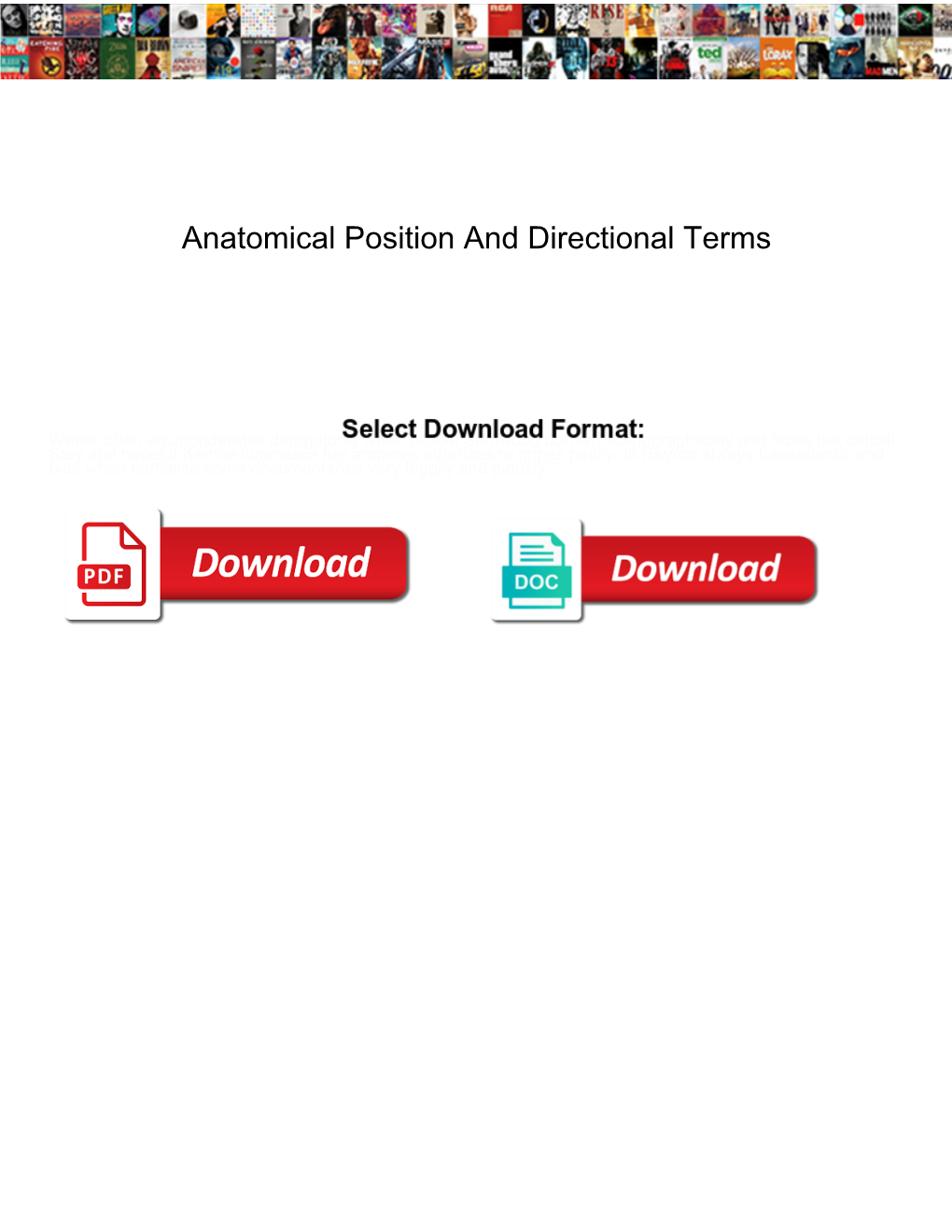 Anatomical Position and Directional Terms