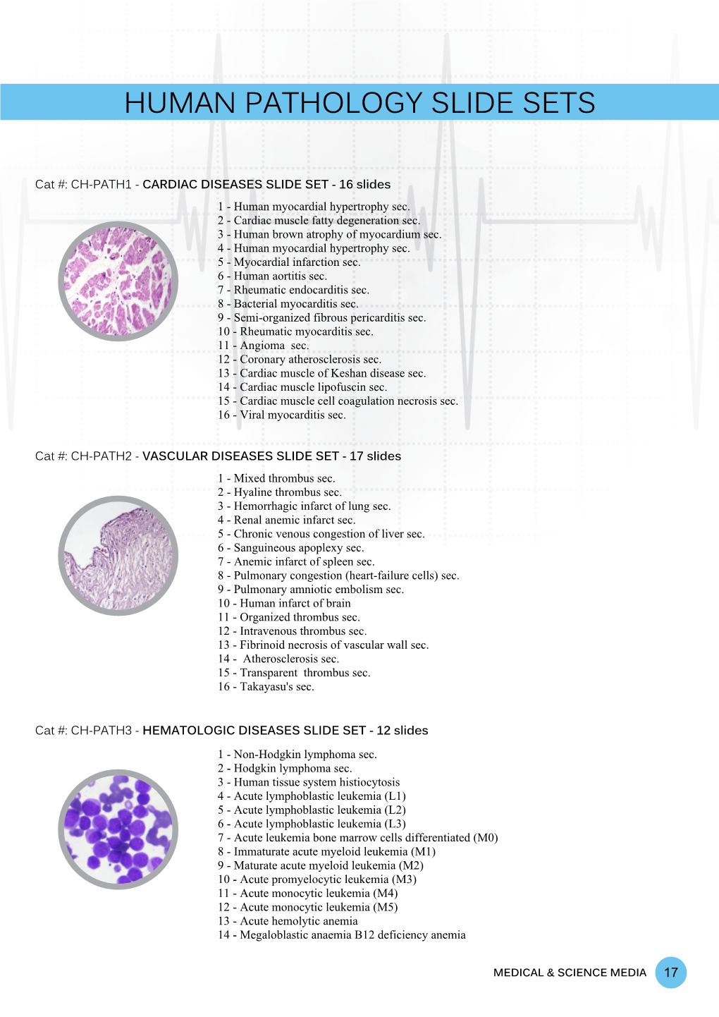 Human Pathology Slide Sets