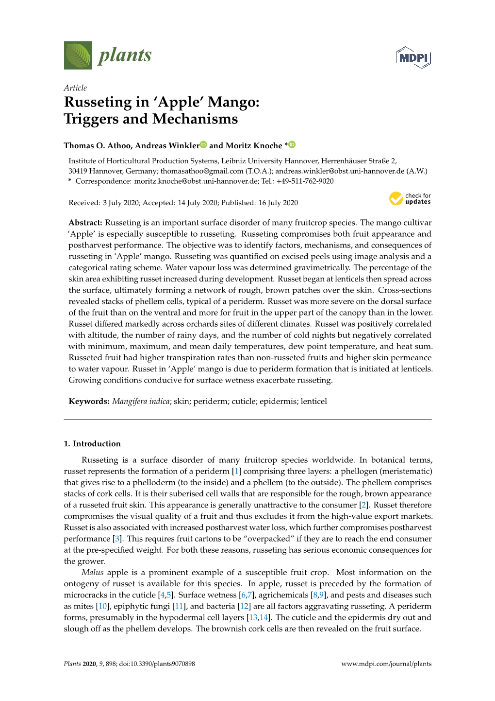 Russeting in 'Apple'mango: Triggers and Mechanisms