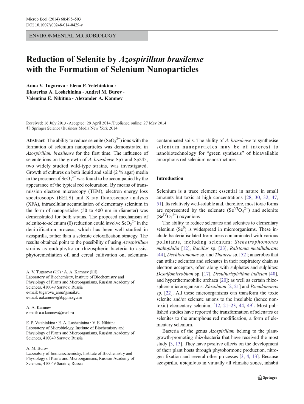 Reduction of Selenite by Azospirillum Brasilense with the Formation of Selenium Nanoparticles