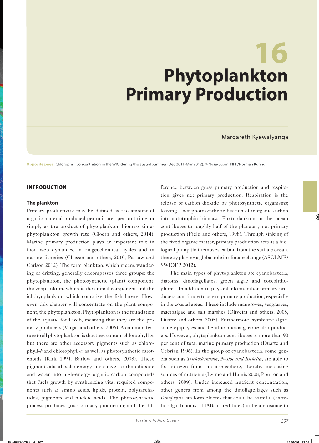 Phytoplankton Primary Production