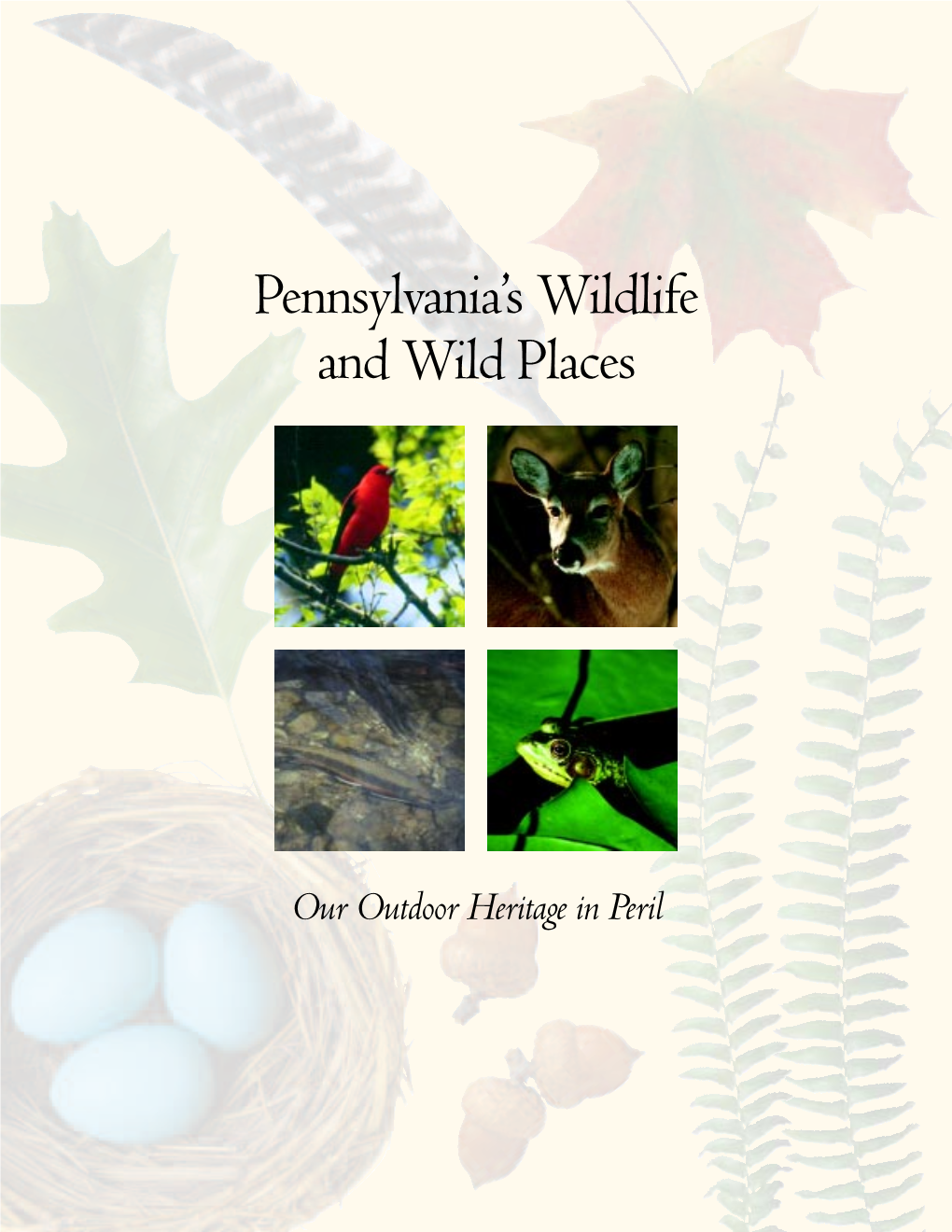 Pennsylvania's Wildlife and Wild Places