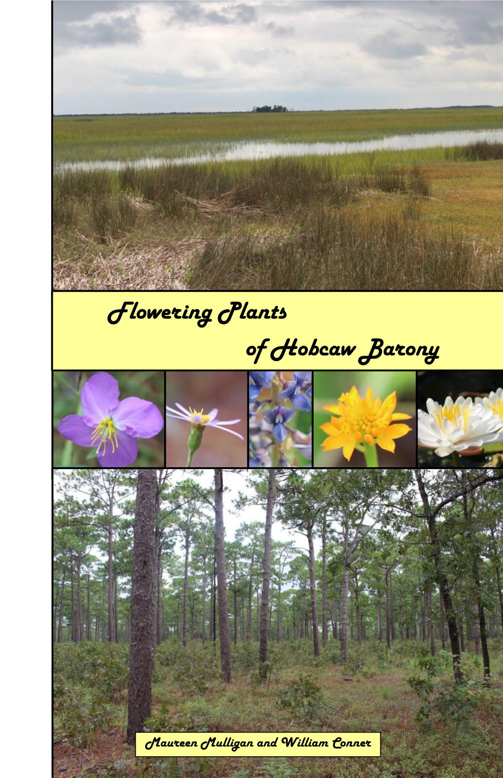Flowering Plants of Hobcaw Barony