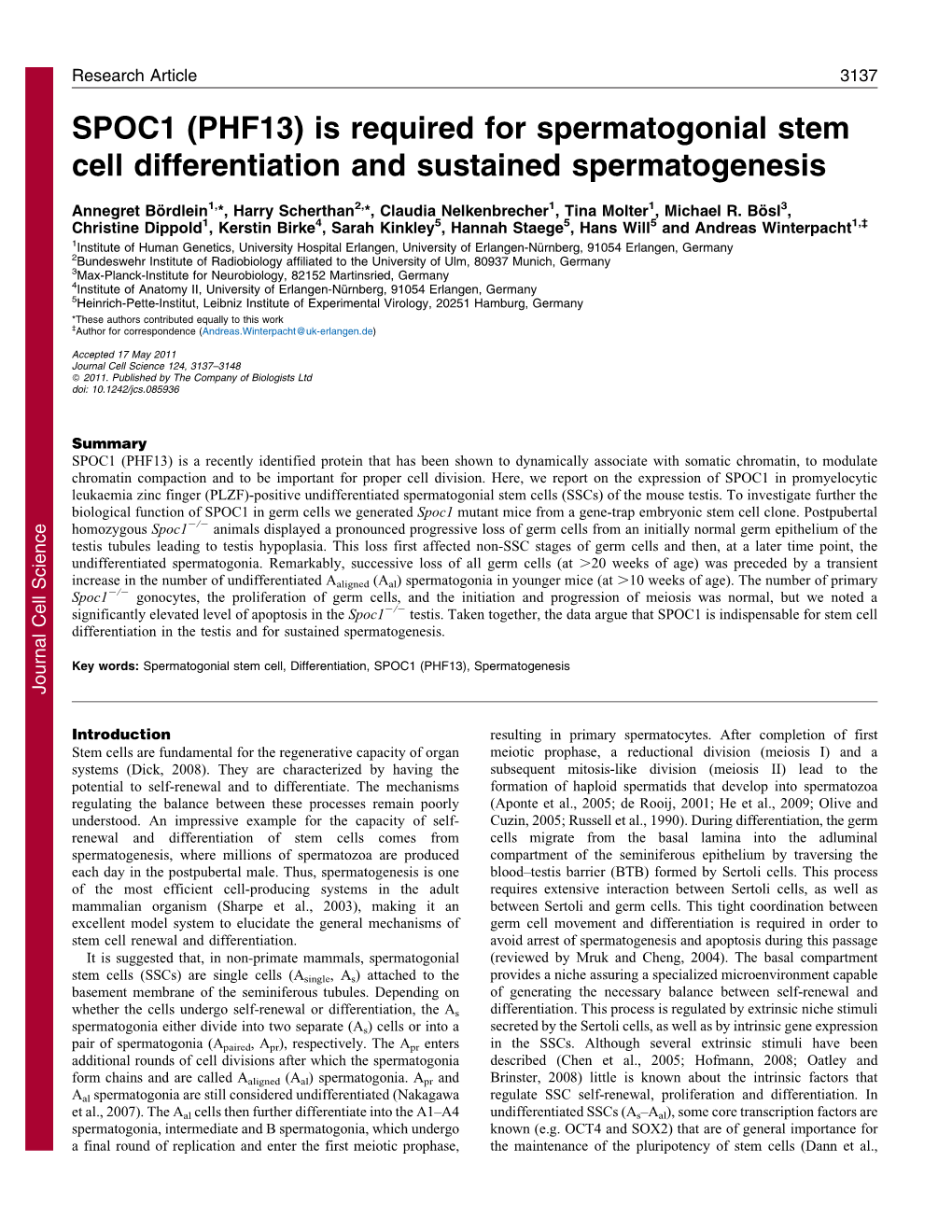 Is Required for Spermatogonial Stem Cell Differentiation and Sustained Spermatogenesis