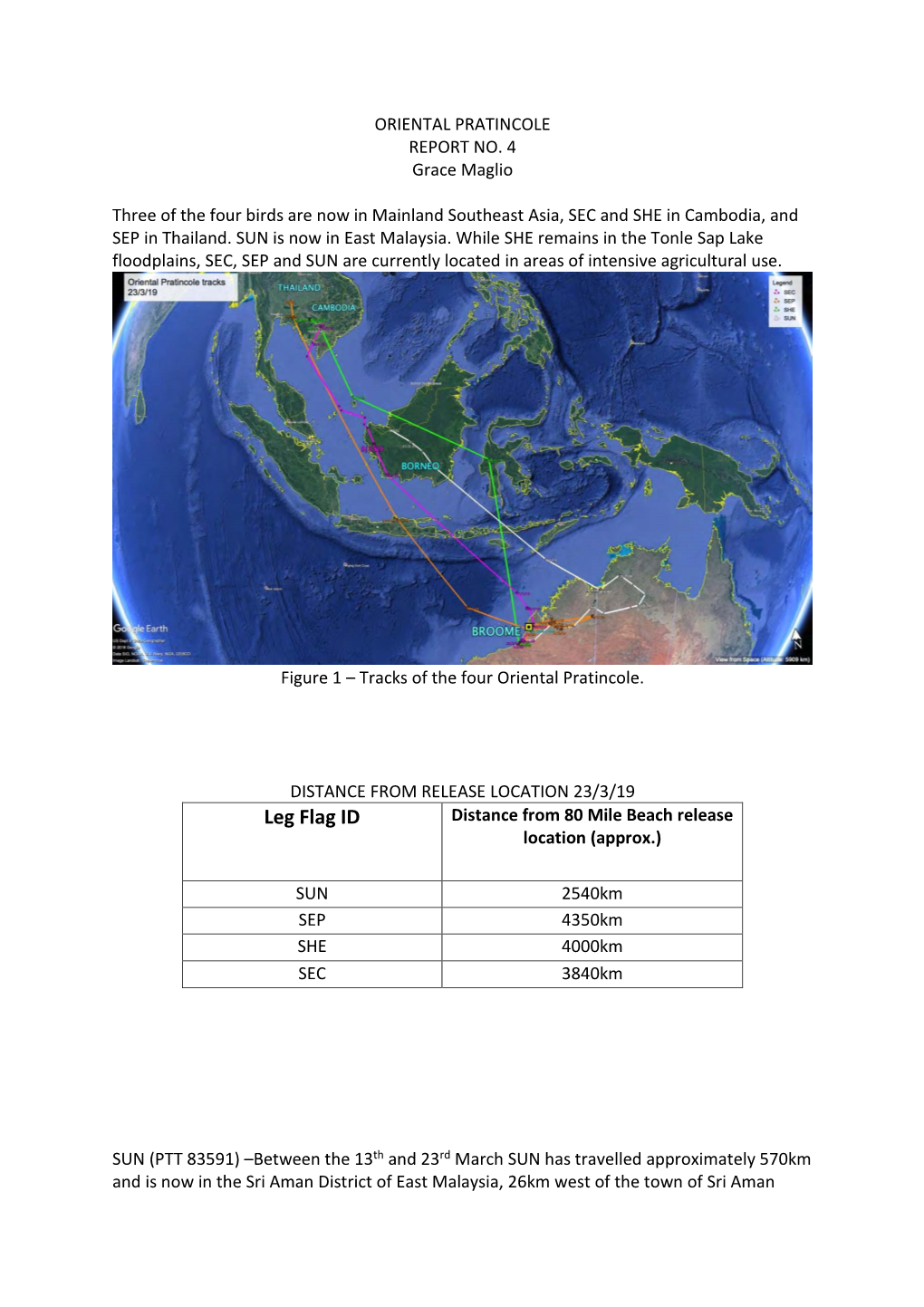 Oriental Pratincole Satellite Tracking Report Number 4