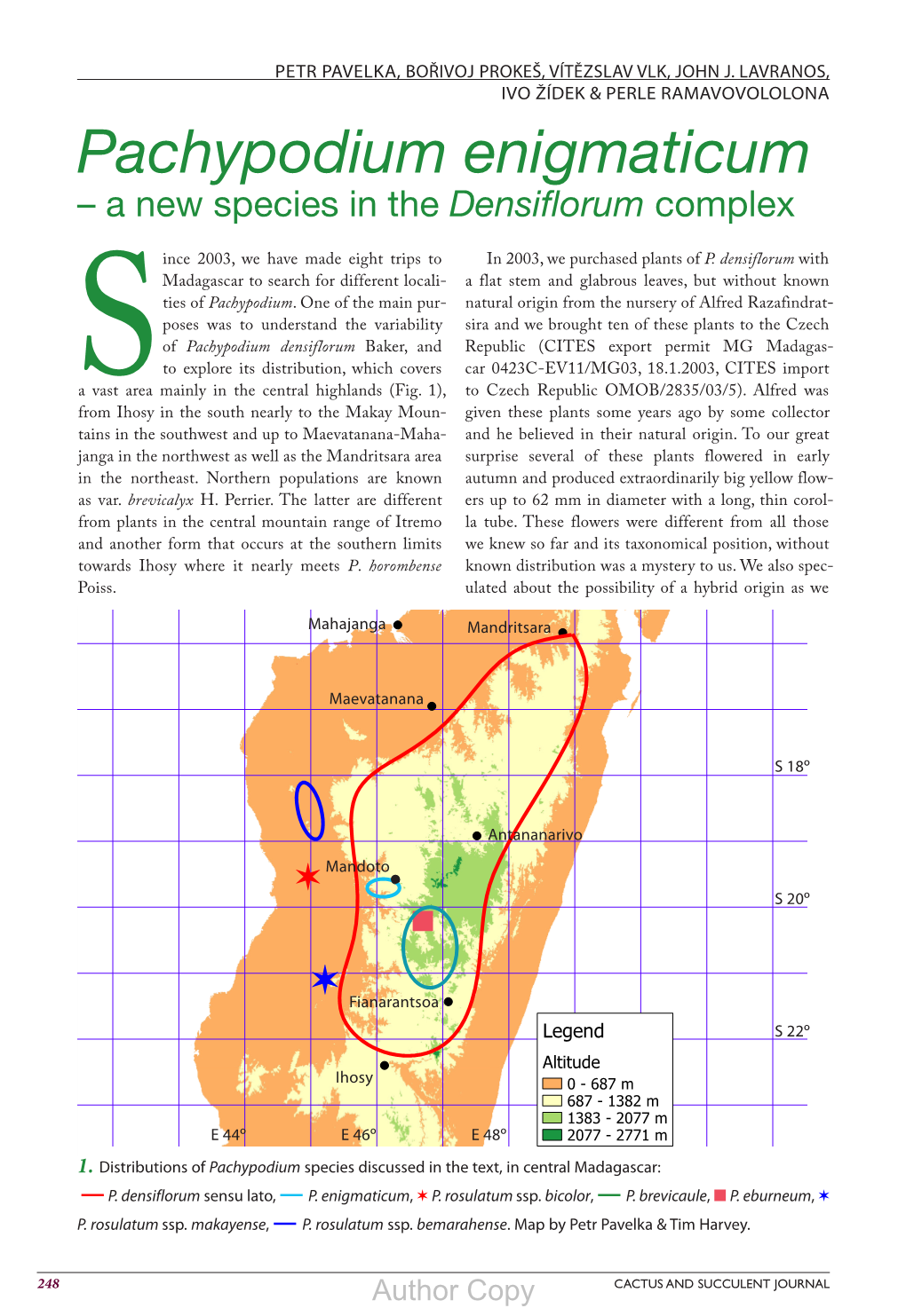 Pachypodium Enigmaticum – a New Species in the Densiflorum Complex