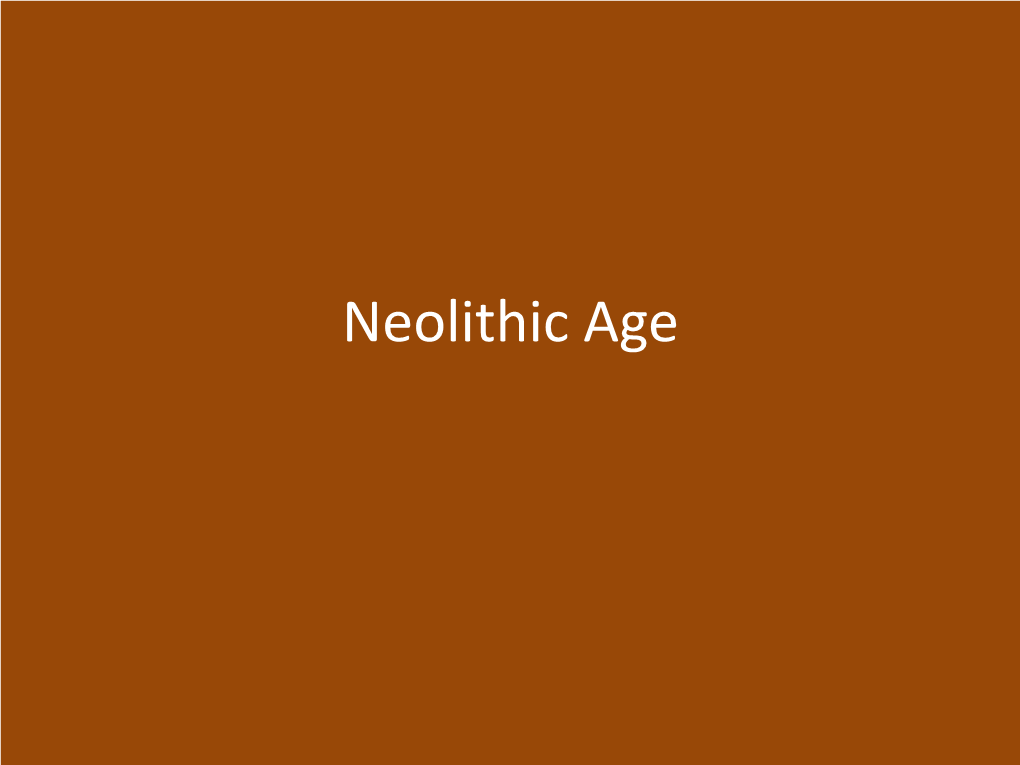 Neolithic Age.Pdf