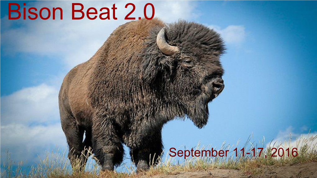 Bison Beat 2.0